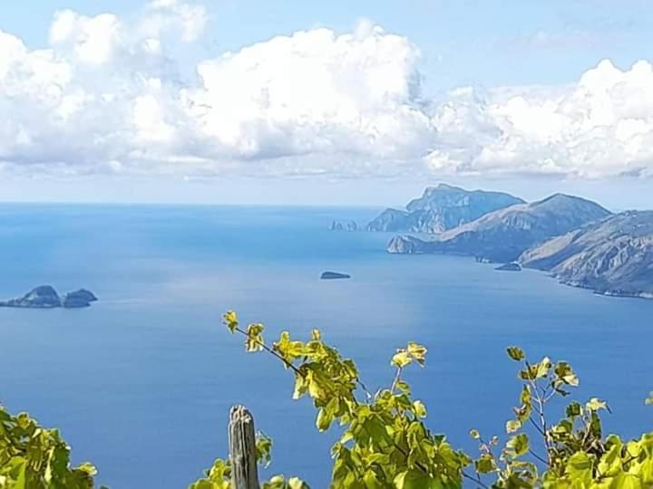 Vecchio West Bed and Breakfast Agerola Buitenkant foto
